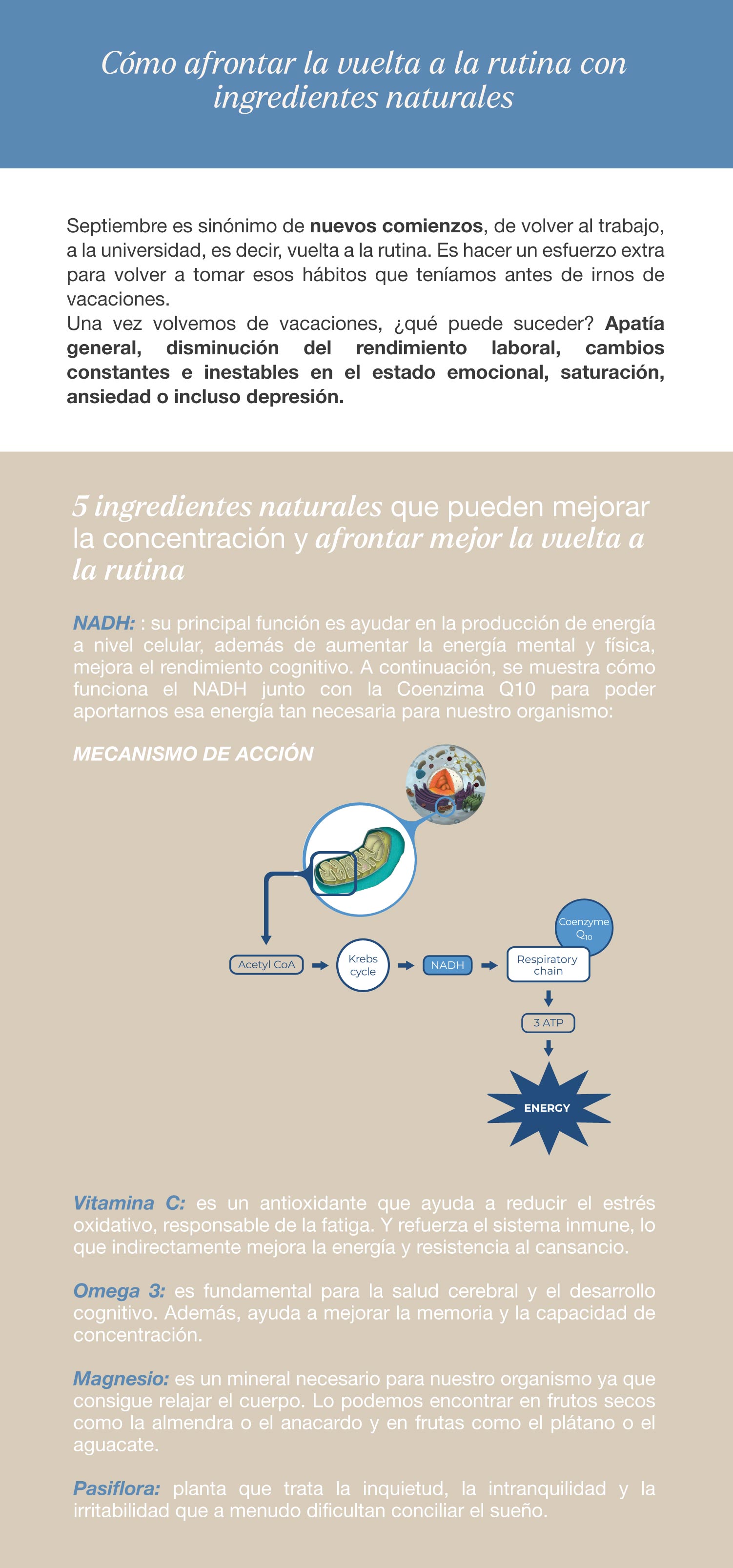 visita_medica_reconnect1