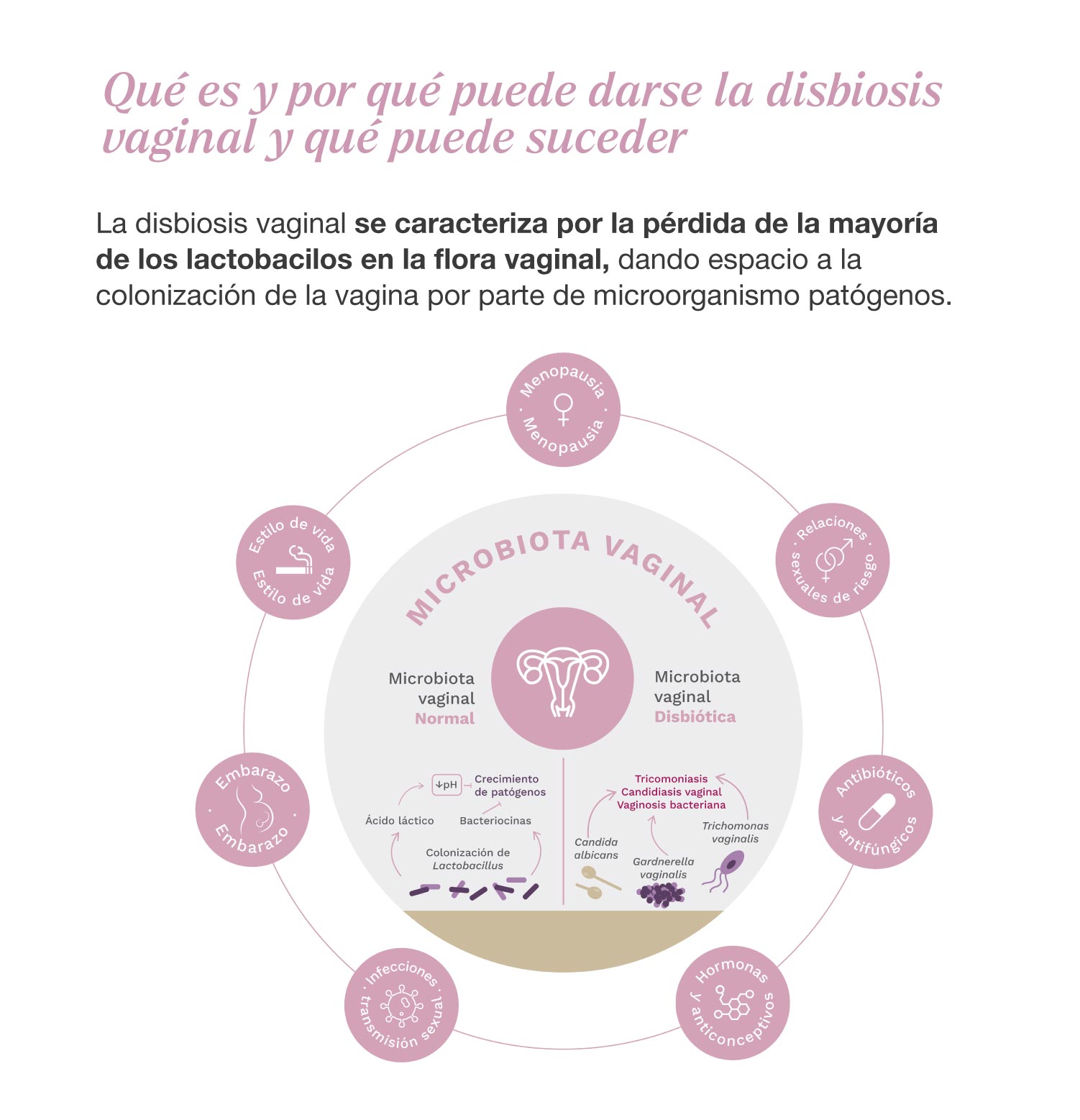 visita_medica_Menopausia2