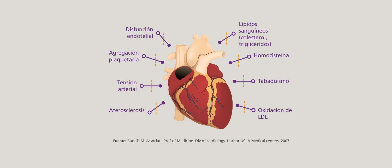 Cardiovascular_VM4