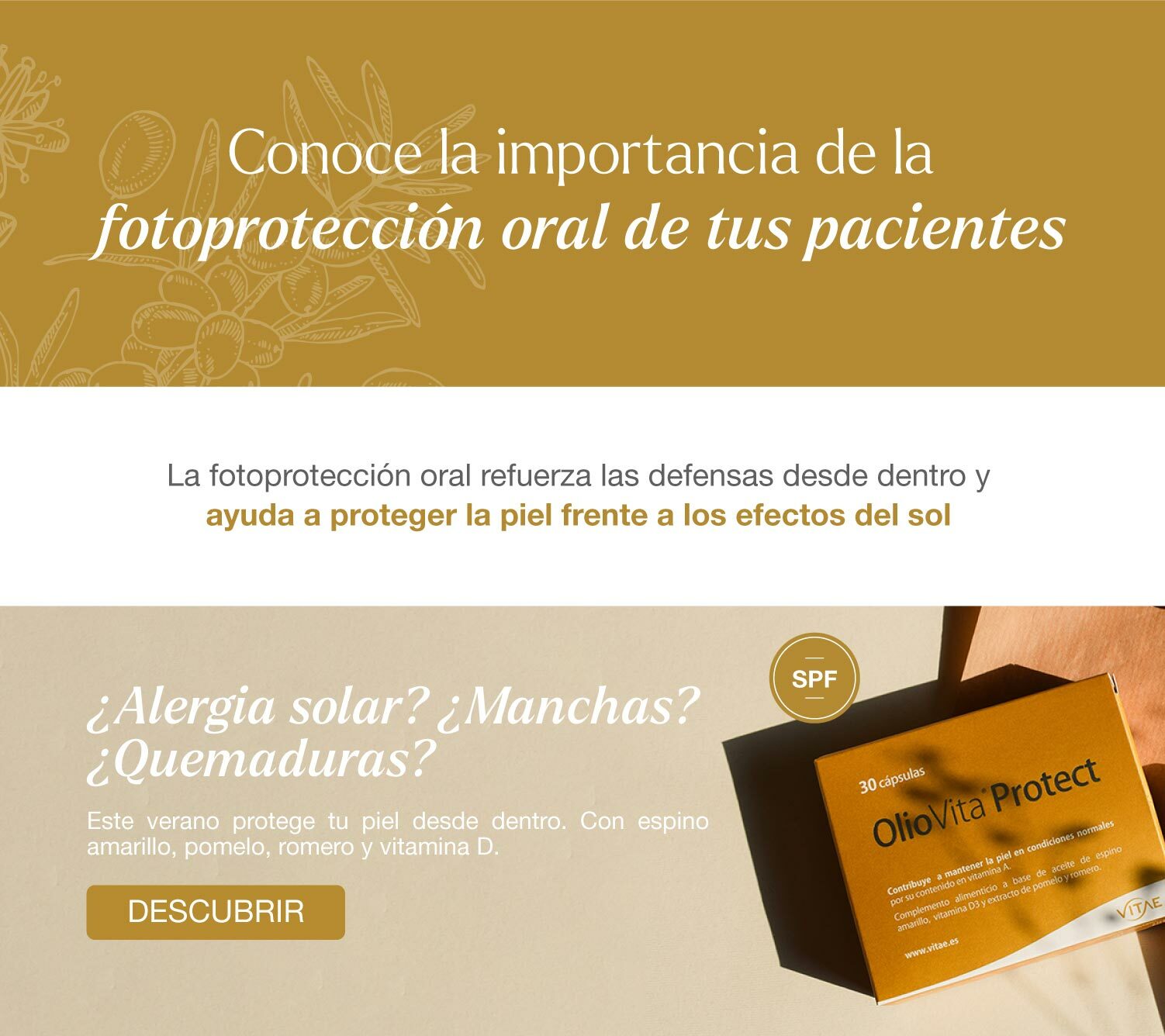 Email_campaa_julio1_PRO