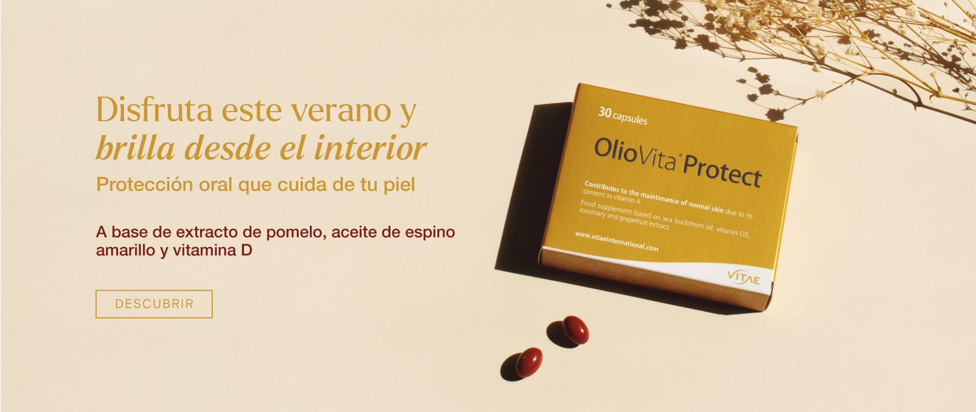 Banner-Protect_verano