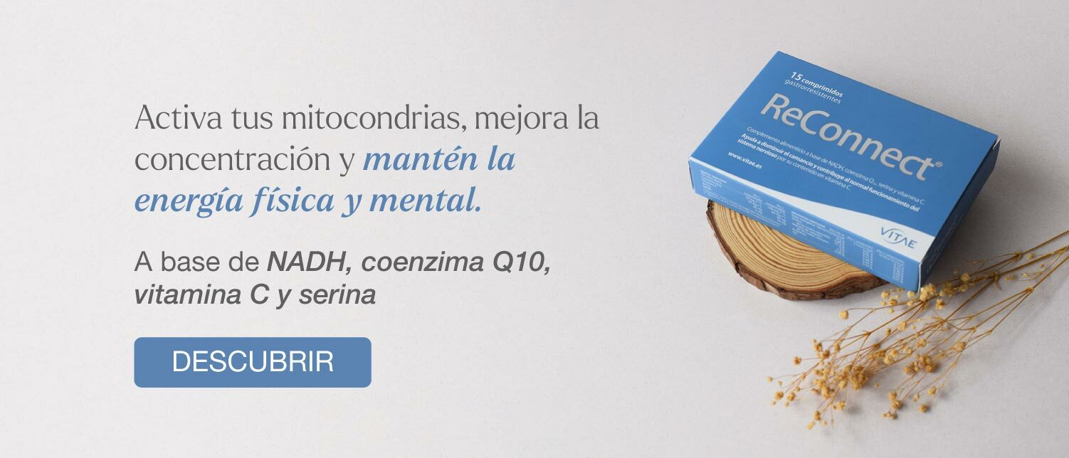 descanso3_Con