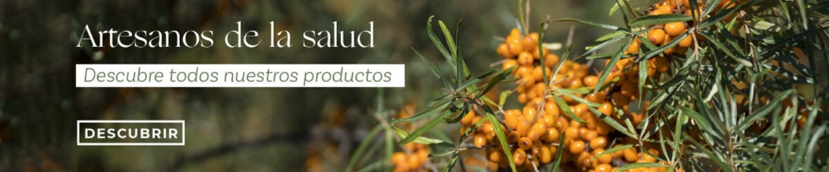 Artesanos-News-banner