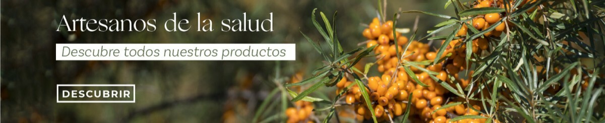 Artesanos-News-banner_df2451cc