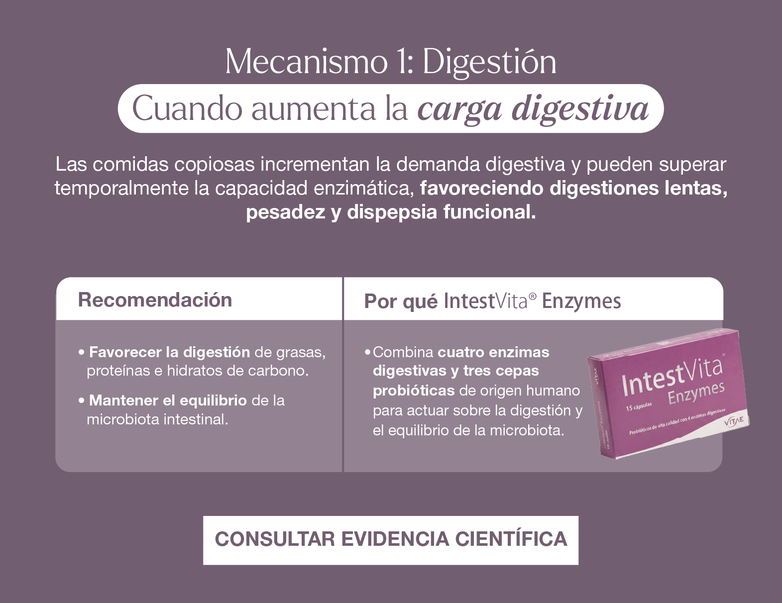 IntestVita Enzymes
